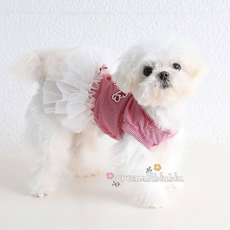 【Ready Stock】 Pet Dog Cat Clothes Spring/Summer Thin Breathable Red Striped Cherry Vest Dress Couple Clothes Bichon OyPy