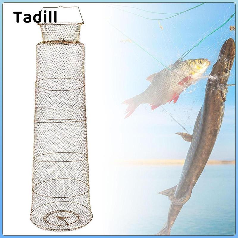 Giỏ câu cá Tadill lưới chuyên nghiệp dành cho crawfish và minnows