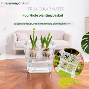 Nuanyangone.vn Hộp Đựng Thủy Canh Có Giỏ Hỗ Trợ Thoáng Khí Hạt Thủy Canh 4 Lỗ Chậu Hoa Không Đất Trang Trí Nhà Cửa Mới