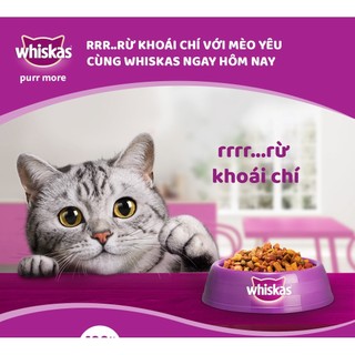 Hạt Whiskas [ 2,7kg - 3kg ] 8 vị lựa chọn. Thức ăn "Hạt có nhân" cho Mèo Con và Mèo Trưởng Thành __ __