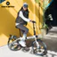Xe đạp gấp ROCKBROS 20 inch nhẹ di động, Shimano, kèm chắn bùn