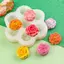 TRTR 7 Lưới Hoa Khuôn Silicon 3D Hoa Hồng Mẫu Đơn Bánh Sô Cô La Khuôn Nướng Bánh Handmade Nến Xà Phòng Thạch Cao Nhựa Thủ Công Dụng Cụ Làm VN