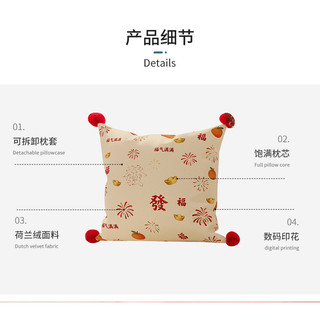 Hàng sẵn có 45x45cm Năm mới Lễ hội mùa xuân Vỏ gối lễ hội Bầu không khí ngày lễ Túi mềm tựa lưng Đệm đầu giường Gối cửa sổ Vịnh Gối Sofa Phòng khách Cảm giác cao cấp 01
