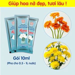 Nước dưỡng hoa tươi lâu Hana (Hộp 50 gói x 10ml) - Dưỡng hoa tươi lâu, không gây thối nước