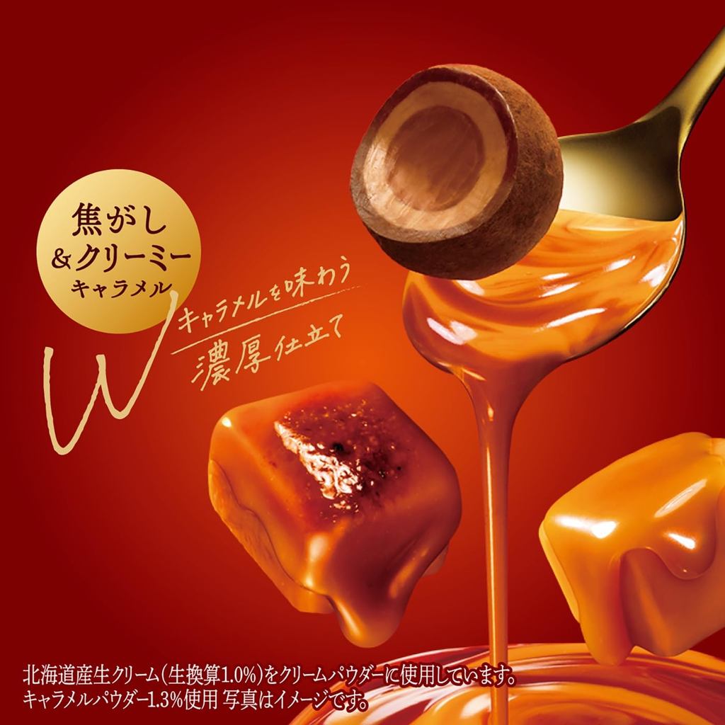 Lotte Premium Ghana Truffle (Caramel Mariage) [Direct from Japan]
