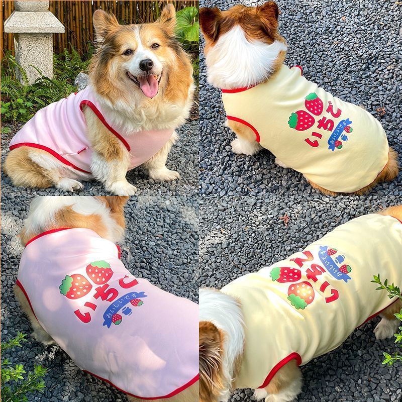 2025 Ngoài Trời Thú Cưng Vest Ấm Corgi Teddy Bichon Nhỏ Vừa Chó Dễ Thương Quần Áo Cho Chó Khuyến Nghị