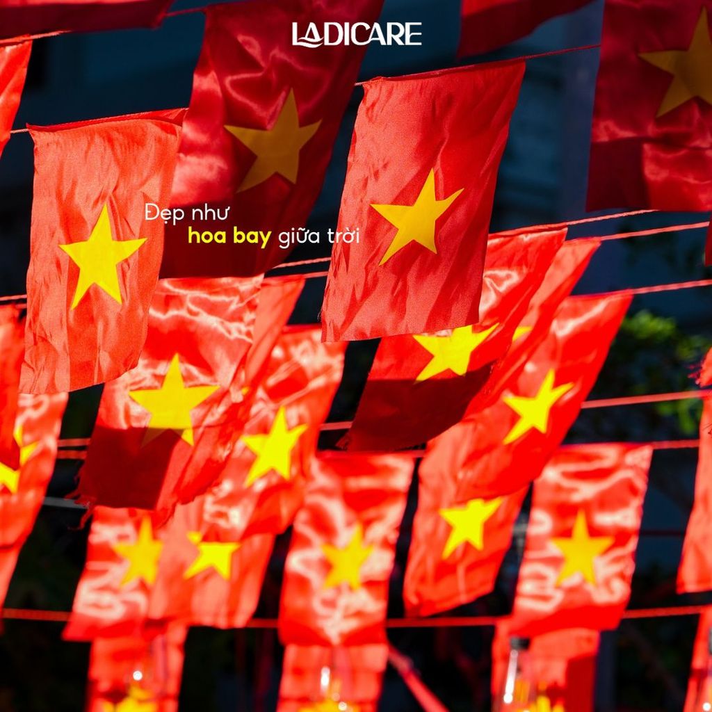 Cờ Dây Tổ Quốc & Sao Đảng Lụa Satin Dày Đẹp In 2 Mặt Sắc Nét Chịu Nắng Mưa, 10M x 20 Lá Cờ Trang Trí Ngày Lễ 30/4 - 2/9