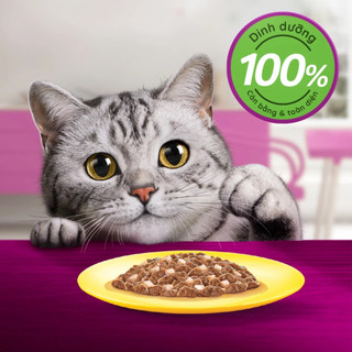 [Thùng Tiết Kiệm ] Pate Cho Mèo Whiskas 80g - Combo 60 Gói Siêu Tiết Kiệm