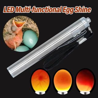 Đèn kiểm tra trứng LED BORAGETE có đèn pin, máy soi trứng lạnh, vỏ inox bền cho gà, vịt, trứng cút, trứng chim cảnh