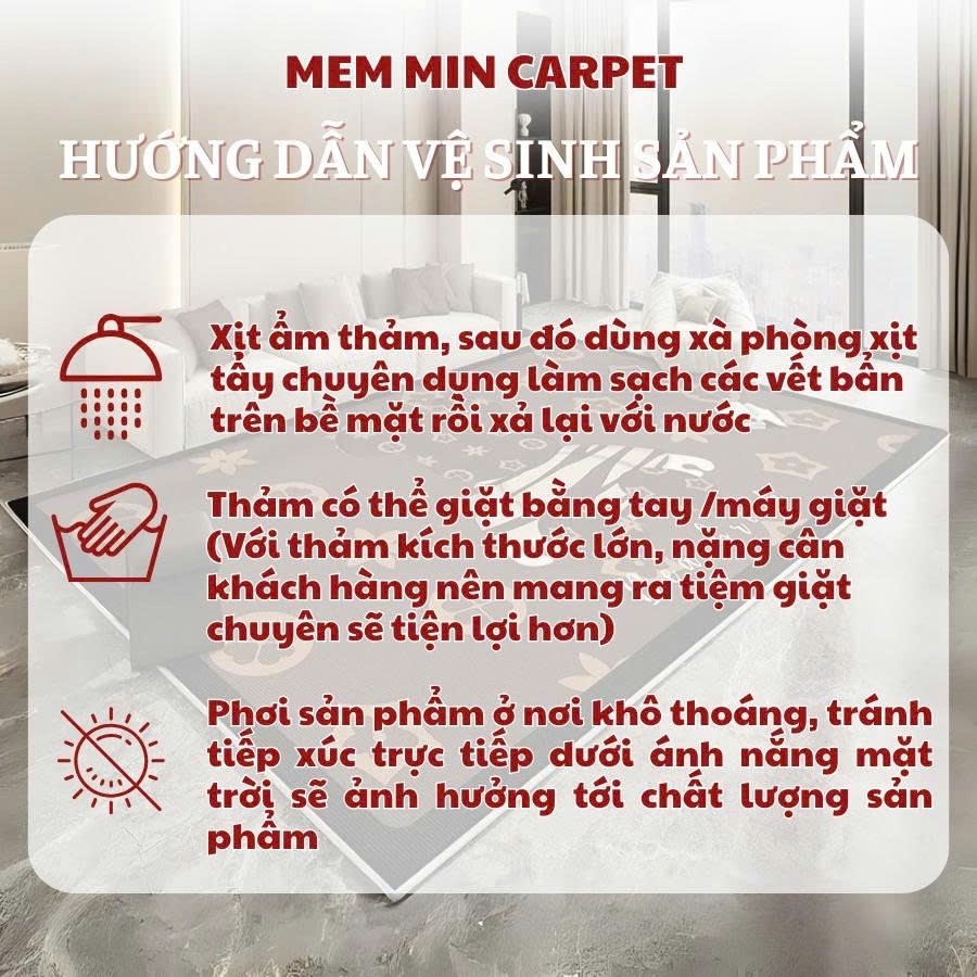 Thảm Dạ Lì,Trải Sàn Trang Trí Phòng Khách.Thảm Chụp Hình Decor, Thảm Kích Thước 2mx3m, 1m6x2m- MemminCarrpet - THB14