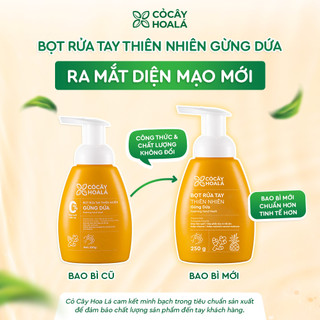 Bọt Rửa Tay Cỏ Cây Hoa Lá Gừng Dứa 250g – Dịu Nhẹ Cho Da Nhạy Cảm, Thiên Nhiên | Nhà Mộc Nhiên