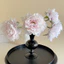 Hoa Mẫu Đơn Giả Cao Cấp 18cm Bó Hoa Lụa Mẫu Đơn Phong Cách Châu Âu Decor Nhà Cửa Sang Trọng Phụ Kiện Chụp Ảnh Trang Trí Đám Cưới (37cm)