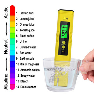 Máy đo PH Nước Với Kết Quả Chính Xác, Thiết Bị Cần Thiết Cho Người Yêu Thích Nuôi Cá, Dụng Cụ Kiểm Tra Bể Cá