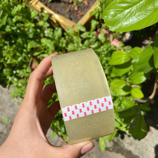 Băng Keo Dán Thùng Trong & Đục – Cây 6 Cuộn, Đóng Gói Chắc Chắn