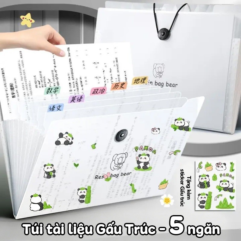 Túi đựng tài liệu A4 PP 8/12 ngăn – Tặng sticker gấu trúc đáng yêu, dùng cho học tập và công sở