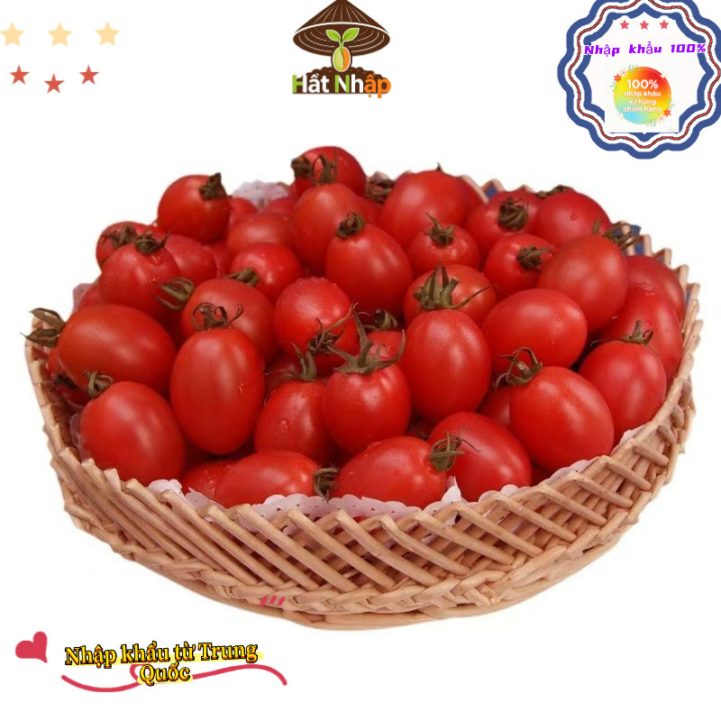 Hạt giống cà chua cherry đỏ chịu nhiệt，-k006