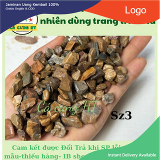 - .. Sạn Suối sạch - Sỏi suối thiên nhiên Trải Nền Trang Trí Bể Cá Thuỷ Sinh, Bán Cạn, BIOTOP .