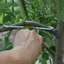 THEGIRL8B 10 Cái Dụng cụ kéo nhánh cây trái cây, Thiết bị định hình nhánh cố định hình kim loại, Dụng cụ mô hình hình hình chữ M Nhánh nặng uốn cong Dụng cụ uốn cành cây cảnh