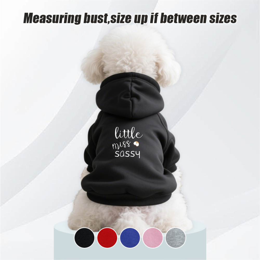 Size S-2XL: Áo hoodie cho thú cưng, phong cách chui đầu, Corgi và in đầu xe máy, có sẵn 5 màu, mềm mại, thoáng khí, ấm áp, có thể giặt được bằng máy, thích hợp cho tất cả các giống chó nhỏ.