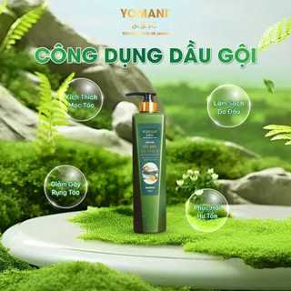 Dầu Gội Xả Yomani Thảo Mộc Bồ Kết Hà Thủ Ô & Sữa Tắm Nano Hoàng Kim 800ml Chăm Sóc Toàn Diện