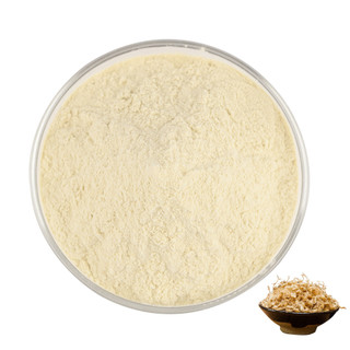 Bột Malt hữu cơ 500g / 1000g | 100% Nguyên Chất Tự Nhiên Không Phụ Gia