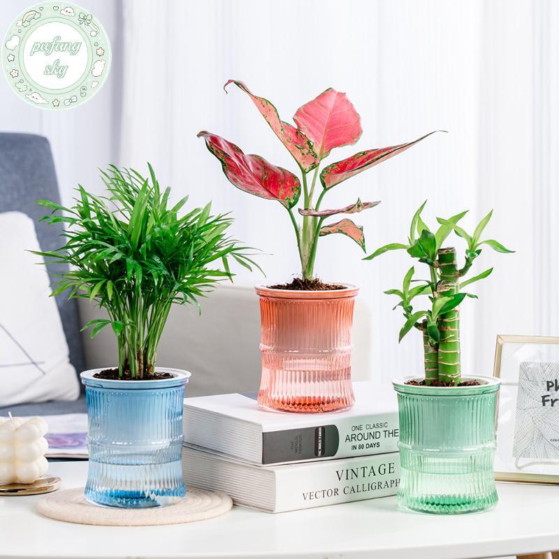 Chậu hoa thủy canh lười PUSKY Chậu hoa hấp thụ nước tự động Chậu hoa trong suốt hai lớp bằng nhựa tự tưới nước Văn phòng VN