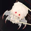 YT4 Tình Yêu Và deepspace Sylus Plushie Trò Chơi Otome Dễ Thương Merch Cánh Bạc Demon Dragon Sang Trọng Túi Charm