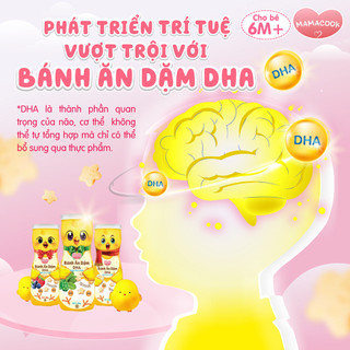 [MUA 2 TẶNG 5] Combo 2 Hộp Bánh Ăn Dặm DHA MAMACOOK 42g - Bổ Sung DHA, Hỗ Trợ Tiêu Hóa Cho Bé 6M+