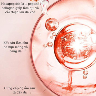 Kem Chống Nhăn, Se Khít Lỗ Chân Lông Săn Chắc, Mịn Màng, Căng Bóng, Giữ Ẩm Cho Da Mềm Mại Sáng Bóng