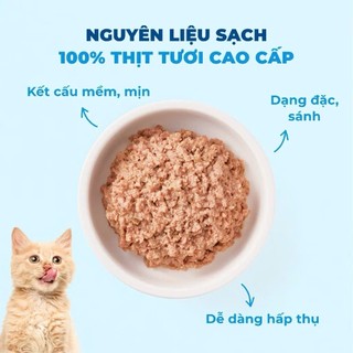 [COMBO 48 GÓI] Pate cho Mèo Mr.Vet / MrVet gói 70gram - Bổ sung Omega-3, Vitamins, L-Lysine, Iron, DHA tốt cho Mèo