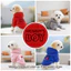 Size S-2XL: Áo hoodie cho thú cưng in hình bé trai của mẹ, phong cách chui đầu, có sẵn 5 màu, mềm mại, thoáng khí, ấm áp, có thể giặt được bằng máy, thích hợp cho mọi giống chó nhỏ.