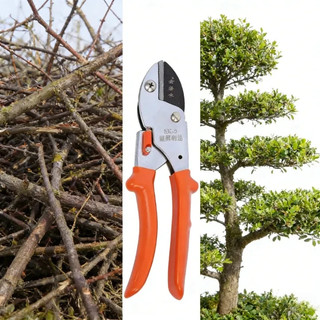 Dụng cụ cắt cành trợ lực siêu sắc cắt sắt Kéo Cắt (Tỉa) Cành，Siêu Sắc，Thiết bị làm vườn，Trợ Lực / Cộng Lực