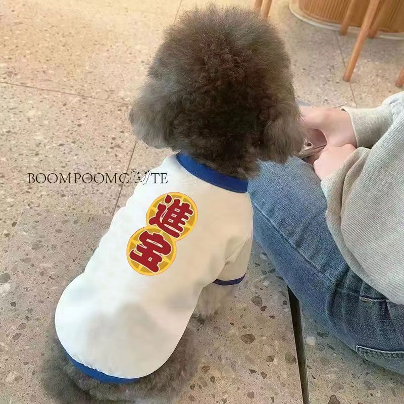 Thú Cưng Chó Mèo Mùa Xuân Mùa Hè Quần Áo Dạo Phố Thú Cưng Hoạt Hình Nhỏ Vừa Quần Áo Cho Chó Mỏng Phong Cách Corgi Teddy Pháp Chiến Đấu