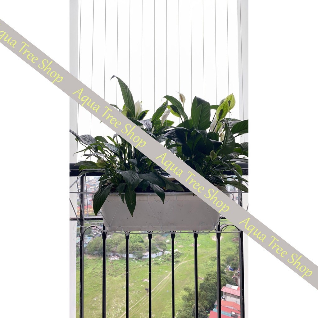 Giỏ sắt treo chậu trồng cây ban công hình chữ nhật, giá treo trồng hoa ban công kích thước 48x21x16cm