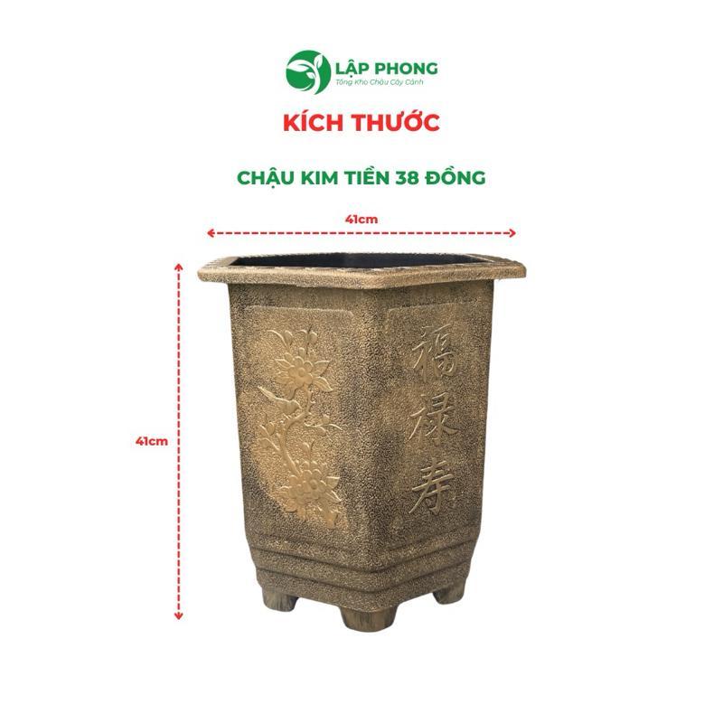 [Tổng hợp] Chậu Nhựa Trồng cây cảnh hoa sơn giả đồng nhiều kích thước dày dặn