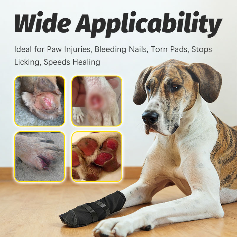 HamshMoc Thú Cưng Chăm Sóc Vết Thương Tất Chó Paw Bảo Vệ Thoáng Khí Chống Trượt Boot Cho Vết Thương Chân