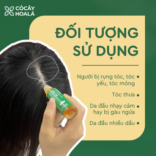 Lăn Dưỡng Tóc Thảo Mộc 15g | Giảm Rụng Tóc, Kích Thích Mọc Tóc, Tóc Dày Khỏe | Nhà Mộc Nhiên
