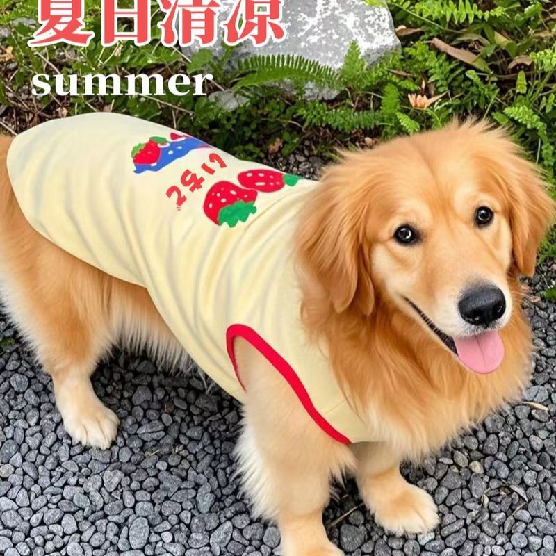 2025 Ngoài Trời Thú Cưng Vest Golden Retriever Samoyera Prado Chó Lớn Dễ Thương Quần Áo Cho Chó Khuyến Nghị