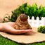 COO Hippopotamus Silicone Thủ Công Khuôn Lý Tưởng Để Tạo Mặt Dây Độc Đáo Đồ Trang Trí Và Đồ Tự Chế
