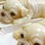 Cc Puppy Shape Silicone Fondant Khuôn Làm Thạch Chocolate