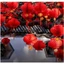 【COD】Đèn lồng giấy đỏ, chất liệu bền đẹp, thích hợp treo trang trí cửa nhà và sân vườn trong các dịp lễ hội.