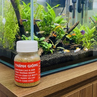 Hộp Thức Ăn Mini 30GR Cho Cá Cảnh - Cám Thánh Gióng Đạm Cao Viên Nổi Siêu Nhỏ