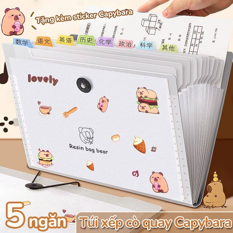 Túi đựng tài liệu a4 dễ thương với sticker capybara độc đáo, kết hợp nhiều ngăn tiện ích từ PP 8/12 bền bỉ