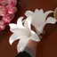 DELMER 5 Chiếc Hoa EVA Nhân Tạo, Đầu Hoa Treo Thực Tế Thanh Lịch, Đạo Cụ Phông Nền Thủ Công DIY Như Thật Màu Trắng Mô Phỏng Trang Trí Hoa Sự Kiện Lễ Hội