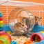 Bánh xe chạy bộ LAKAM Hamster, Bánh xe tập thể dục trong suốt dễ tháo rời​, Đồ chơi tập thể dục mở rộng bằng nhựa im lặng, Phụ kiện thú cưng