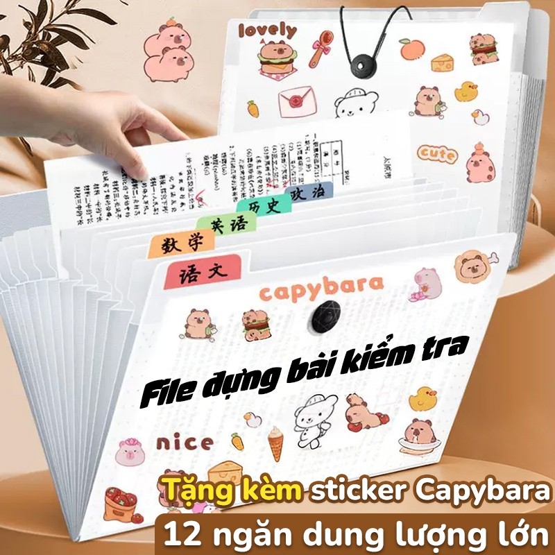 Túi đựng tài liệu a4 với sticker capybara nổi bật, nhựa PP 8/12 ngăn dẻo dai, đa ngăn tiện lợi phục vụ học tập, làm việc