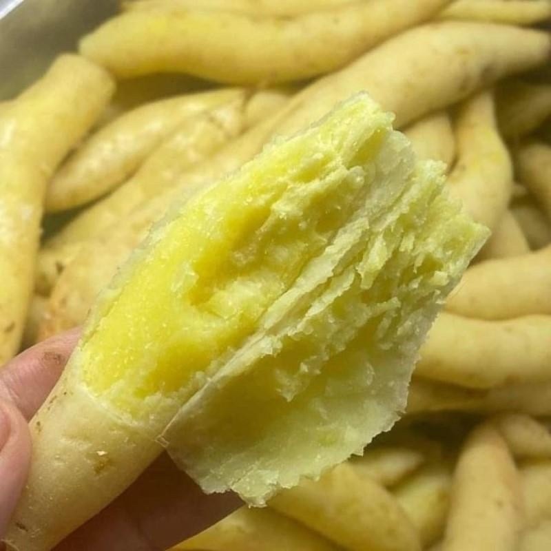 Combo 4KG Khoai Lang Trắng Thái & Sữa Thái – Ngọt Bùi, Tiết Kiệm, Giao ...