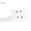 TRTR AC220V T5 Đèn huỳnh quang ống hình khuyên G10Q Chấn lưu điện tử VN