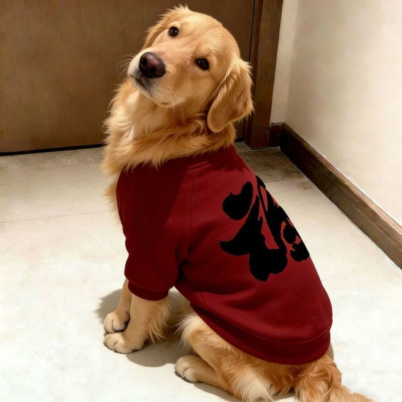 Chó Thú Cưng Thu Đông Lễ Hội Năm Mới < Fu > Quần Áo Hai Chân Tốt Lành Chó Lớn Golden Retriever Samoyera Prado