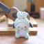 BH2 Sanrio My Melody Kuromi Pompompurin Plushie Túi búp bê sang trọng dễ thương Charm HB2